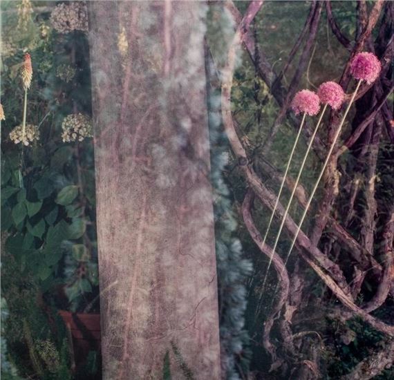 Stephen Scheer | Stephen Scheer Perola Chromogenic Print, 1989 (1989 ...