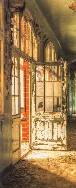 Artwork by Raymond Ciborowski, Raymond Ciborowski "As We Decay" Print, 2010, Made of Archival Ink-Jet Print in Colors