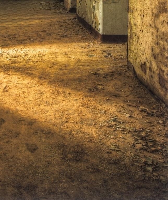 Artwork by Raymond Ciborowski, Raymond Ciborowski "As We Decay" Print, 2010, Made of Archival Ink-Jet Print in Colors