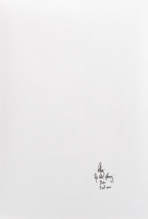 Artwork by Raymond Ciborowski, Raymond Ciborowski "As We Decay" Print, 2010, Made of Archival Ink-Jet Print in Colors