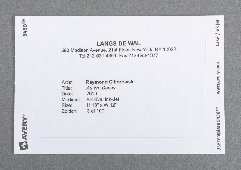 Artwork by Raymond Ciborowski, Raymond Ciborowski "As We Decay" Print, 2010, Made of Archival Ink-Jet Print in Colors