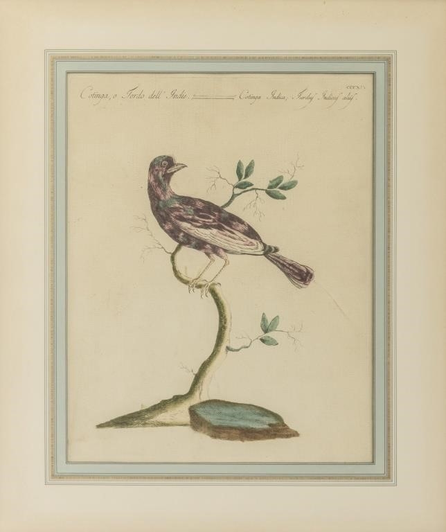 Saverio Manetti | Severio Manetti Ornithological Engravings, 4 (18th ...