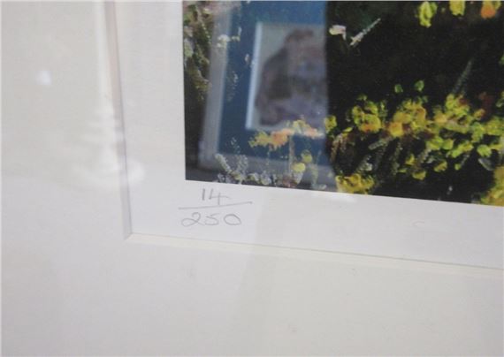 Helen Setterington | L/E Helen Setterington Print | MutualArt