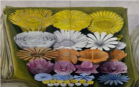 Krzysztof Grzybacz’s ‘Floral Compositions’ Are Tender Portrayals of Togetherness