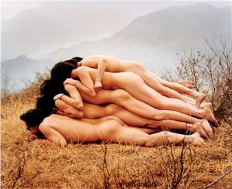 To Add One Meter to an Anonymous Mountain - Cang Xin