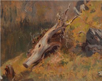 Souche d'arbre en Valais - Eugène Etienne Sordet