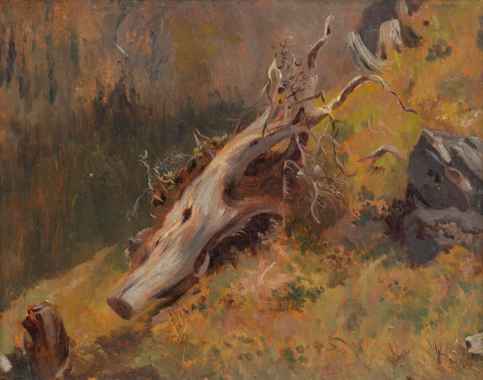 Artwork by Eugène Etienne Sordet, Souche d'arbre en Valais, Made of oil on cardboard