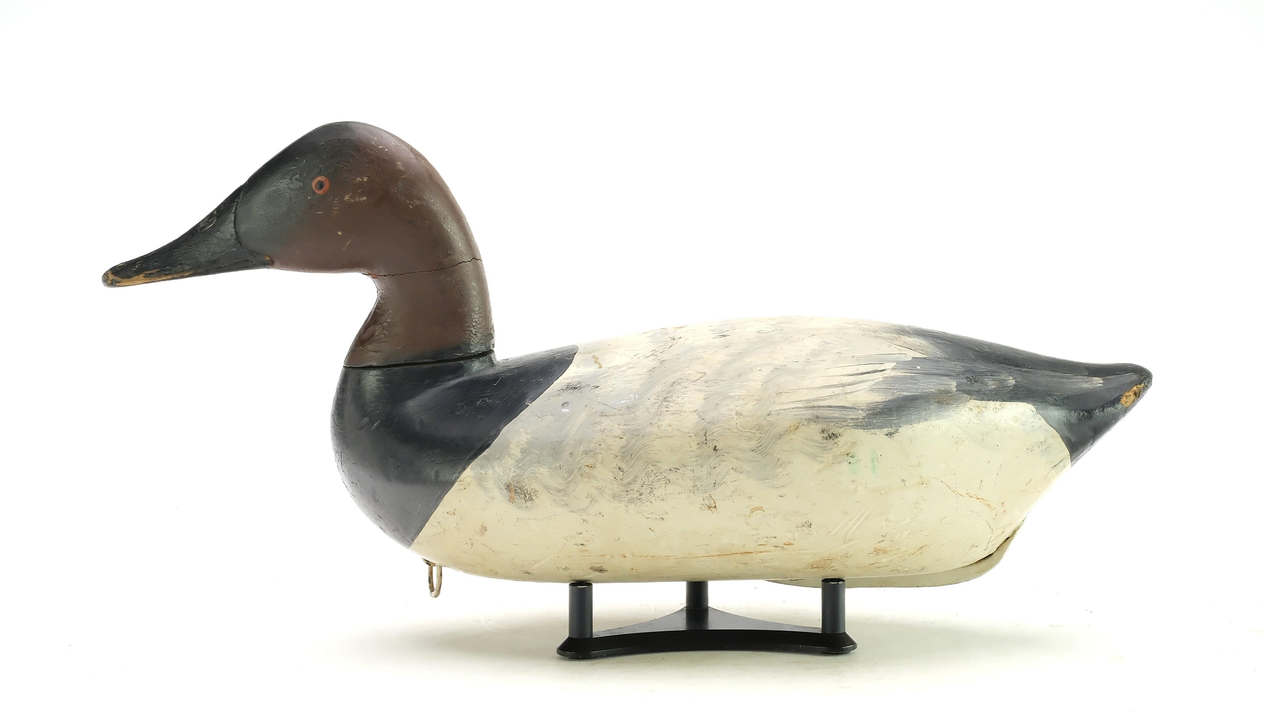 Edwin Pearson | Canvasback | MutualArt