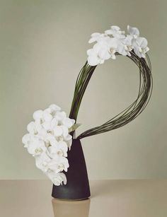 Floral Interpretations - Rehoboth Art League