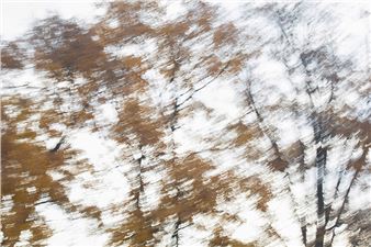 On Parkinson’s: Three Artists’ Journeys - Richard F. Brush Art Gallery