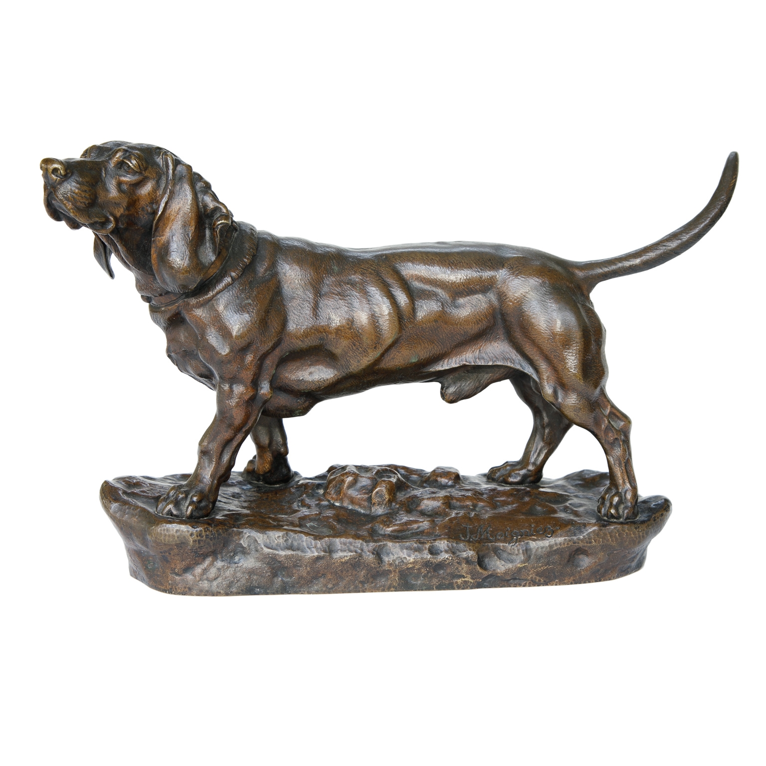 Artwork by Jules Moigniez, Jules Moigniez (1835-1894) Bronze Sculpture Male Basset Hound, Made of Bronze Sculpture