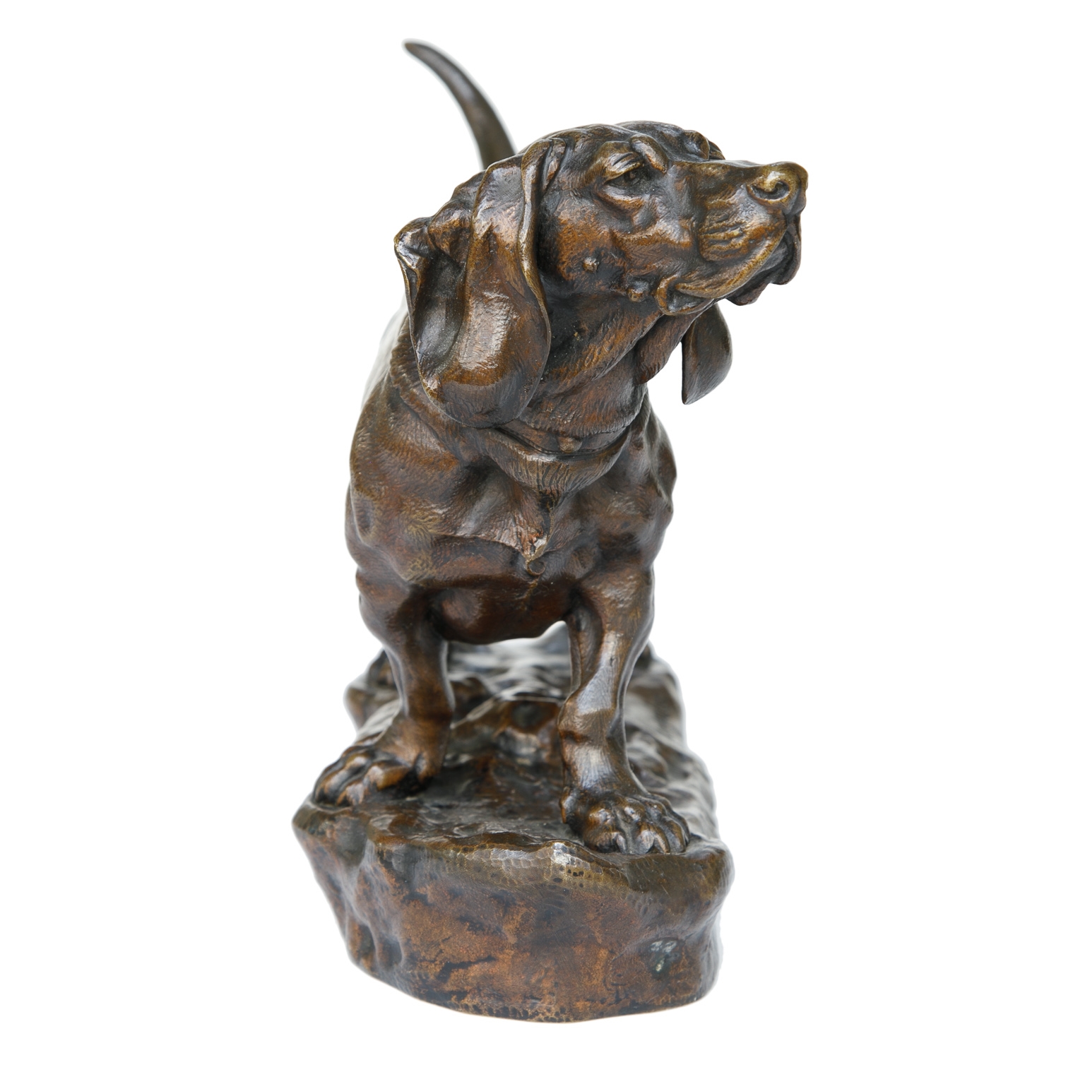 Artwork by Jules Moigniez, Jules Moigniez (1835-1894) Bronze Sculpture Male Basset Hound, Made of Bronze Sculpture