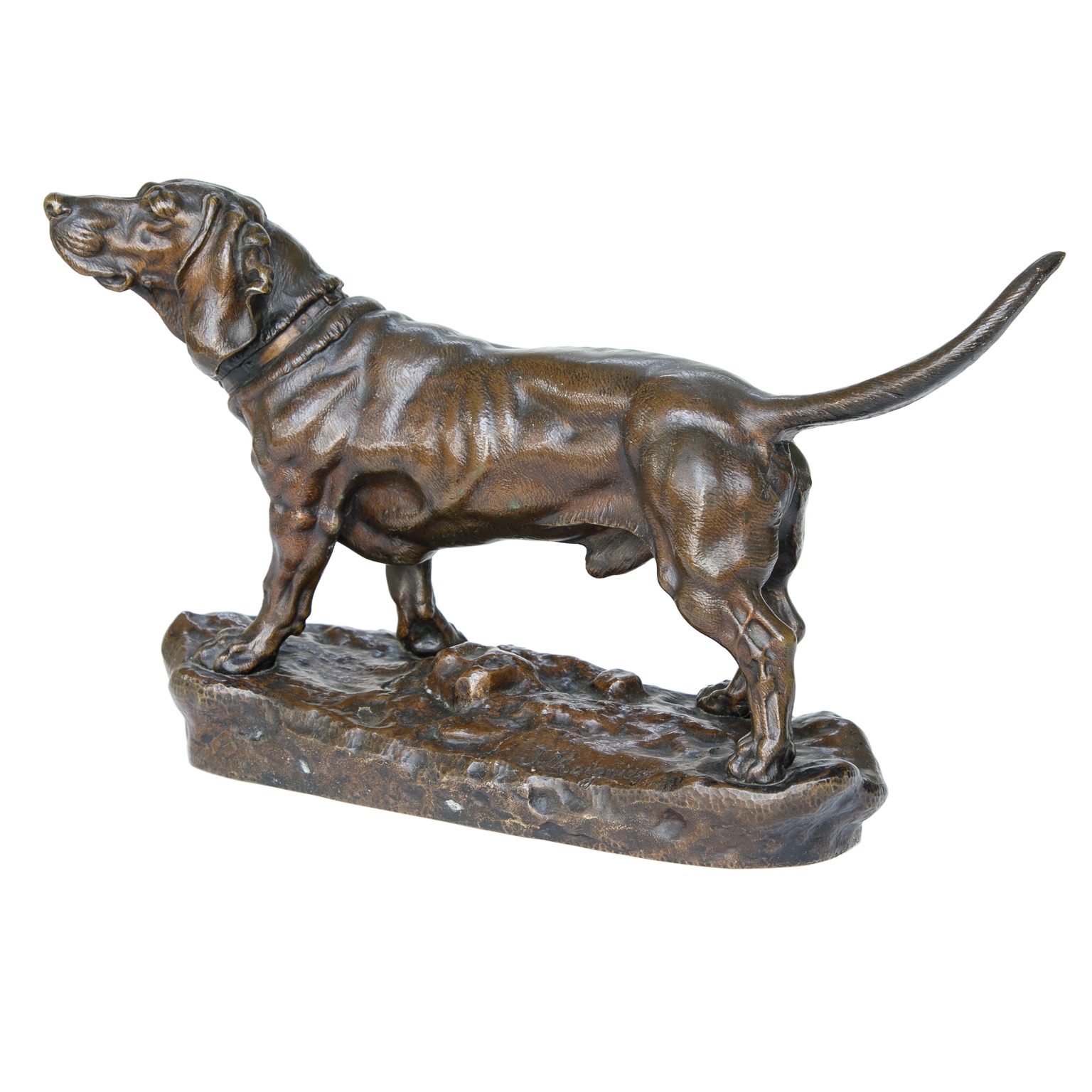 Artwork by Jules Moigniez, Jules Moigniez (1835-1894) Bronze Sculpture Male Basset Hound, Made of Bronze Sculpture
