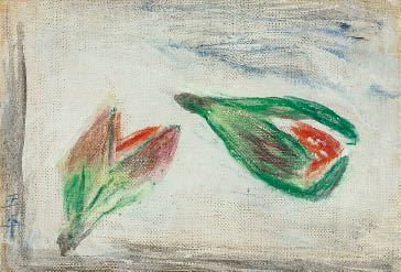 Fig - Shohei Matsuda