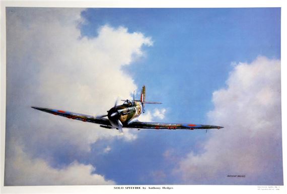 SOLO SPITFIRE - Anthony Hedges