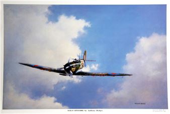 SOLO SPITFIRE - Anthony Hedges