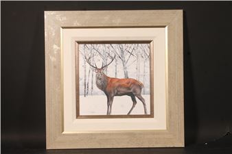 The King in Winter - Stanley Bird