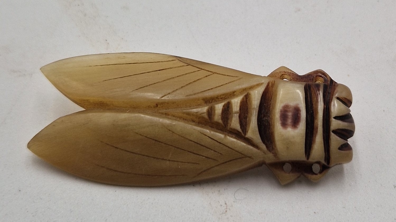 Artwork by Depose, FRENCH ART NOUVEAU CARVED HORN CICADA BUG BROOCH Signed Depo, Made of carved horn