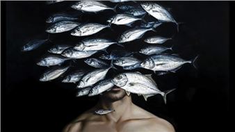 Stories, Dreams, Desires: The Artists of Expressiones - Mystic Museum of Art