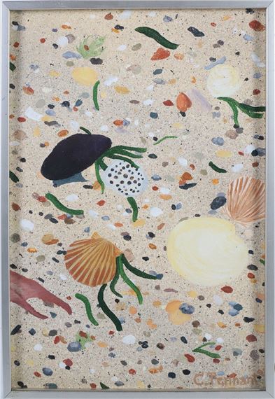 “Pocomo Shells” - Charles Tennant