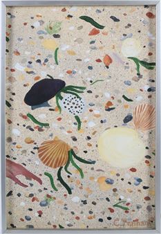 “Pocomo Shells” - Charles Tennant