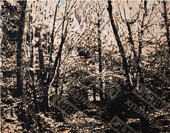 Fondation XS - Jean Denant