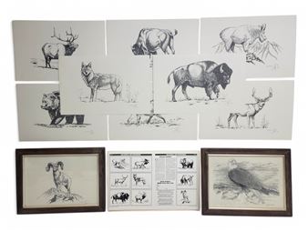 Wildlife - Glenn Dobbe