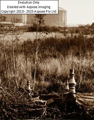 Elfriede Mejchar by Elfriede Mejchar, 1967-1976