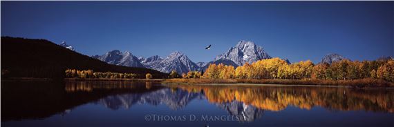 High Noon on the Oxbow Bend", Grand Teton National Park, Wyoming, 23 ¼"x58" Artist Proof Collection 26/350 by Thomas Mangelsen