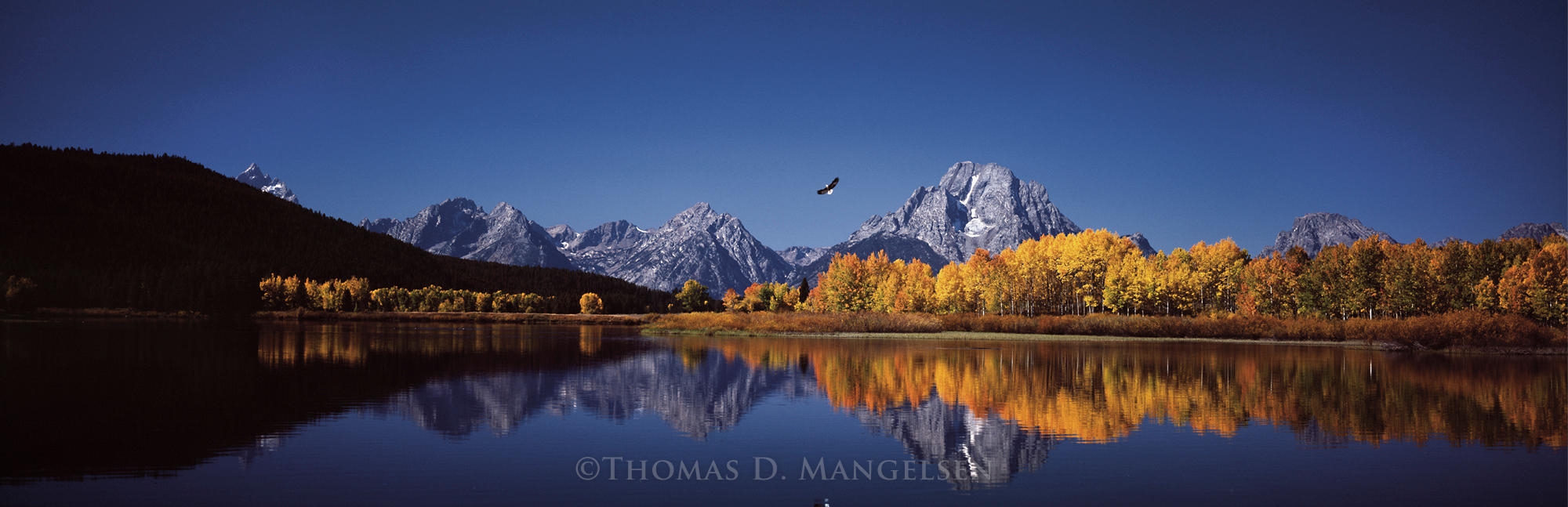 Artwork by Thomas Mangelsen, High Noon on the Oxbow Bend", Grand Teton National Park, Wyoming, 23 ¼"x58" Artist Proof Collection 26/350, Made of paper