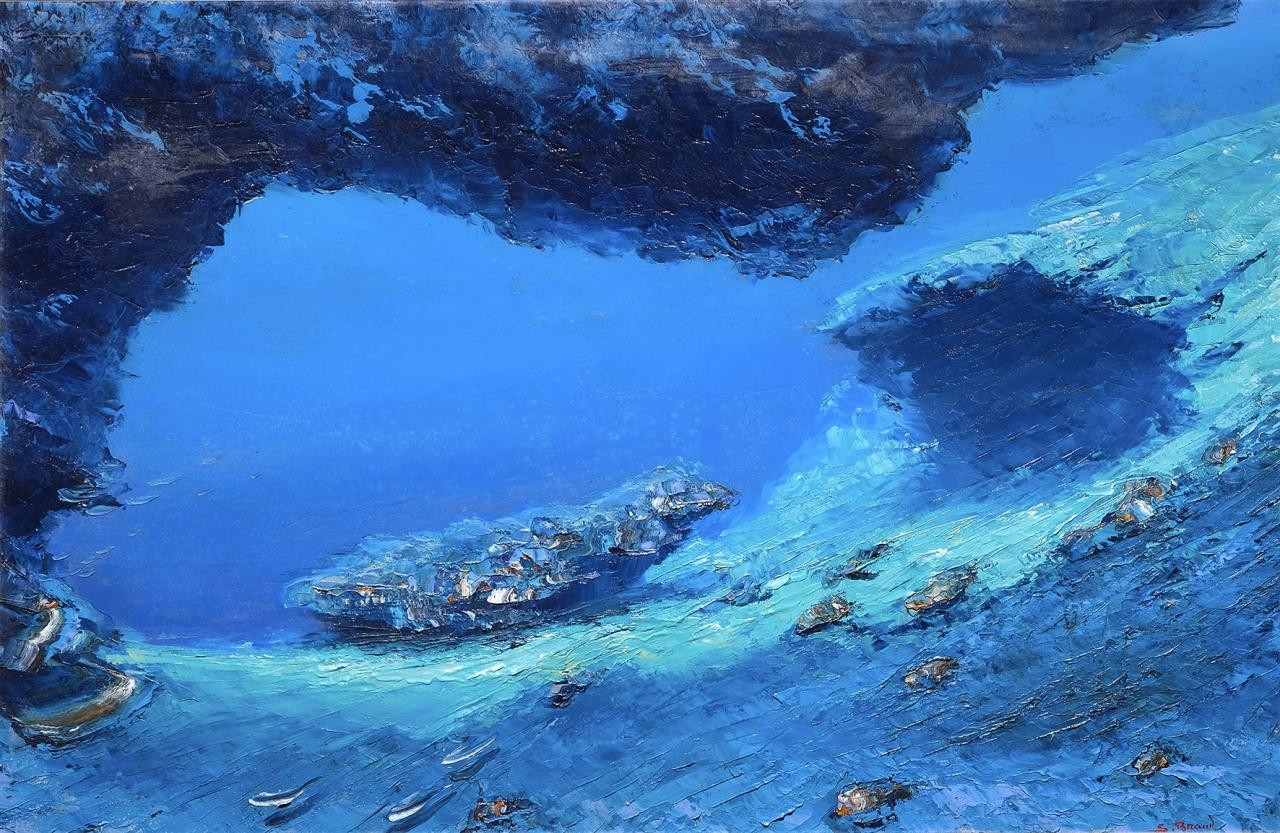 Stéphane Braud | Gruta con tortugas de Le Diamant, Le martinique (-14 m ...