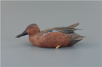Cinnamon Teal - Jim Sprankle