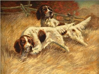 Two Setters - Walter Hemenway