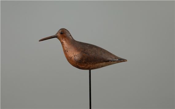 Red Knot by John Dilley, c. 1890