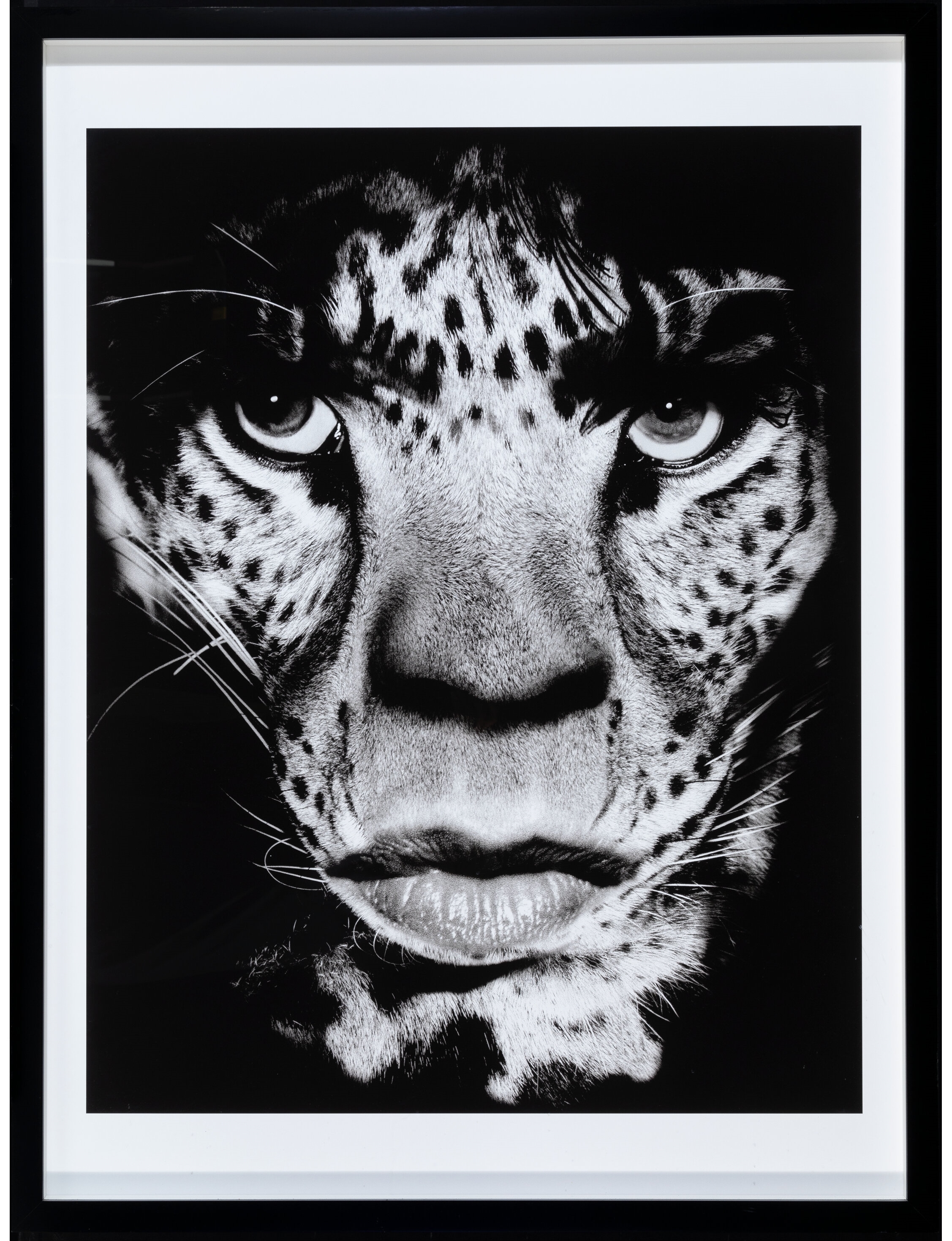 Artwork by Albert Watson, Mick Jagger, Los Angeles, Made of digital pigment print
