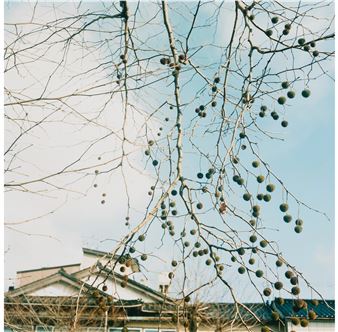 Group of 3 photographs - Mikiko Hara