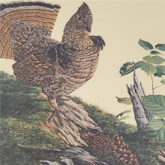 Louis Raymer | Wildlife | MutualArt