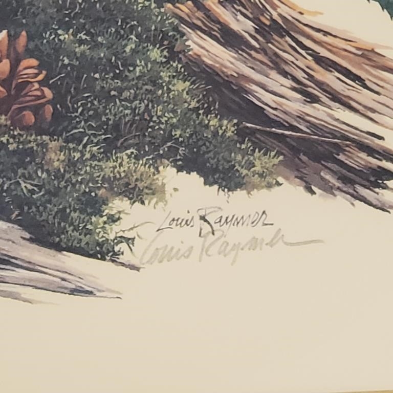 Louis Raymer | Wildlife | MutualArt