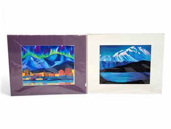 Denali 2017, Northern Lights - Katie Sevigny