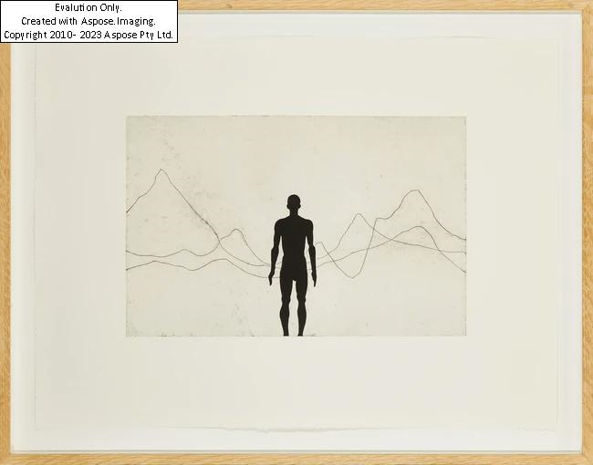 Artwork by Antony Gormley, Horizon Field, 2010, Made of etching on BFK wove