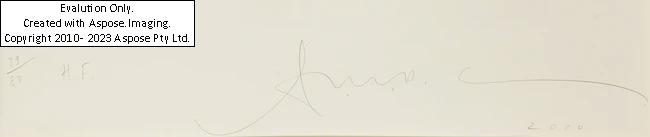 Artwork by Antony Gormley, Horizon Field, 2010, Made of etching on BFK wove