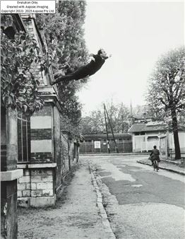 Leap into the Void - Harry Shunk