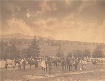 Turanville, Studfarm - Joseph Check