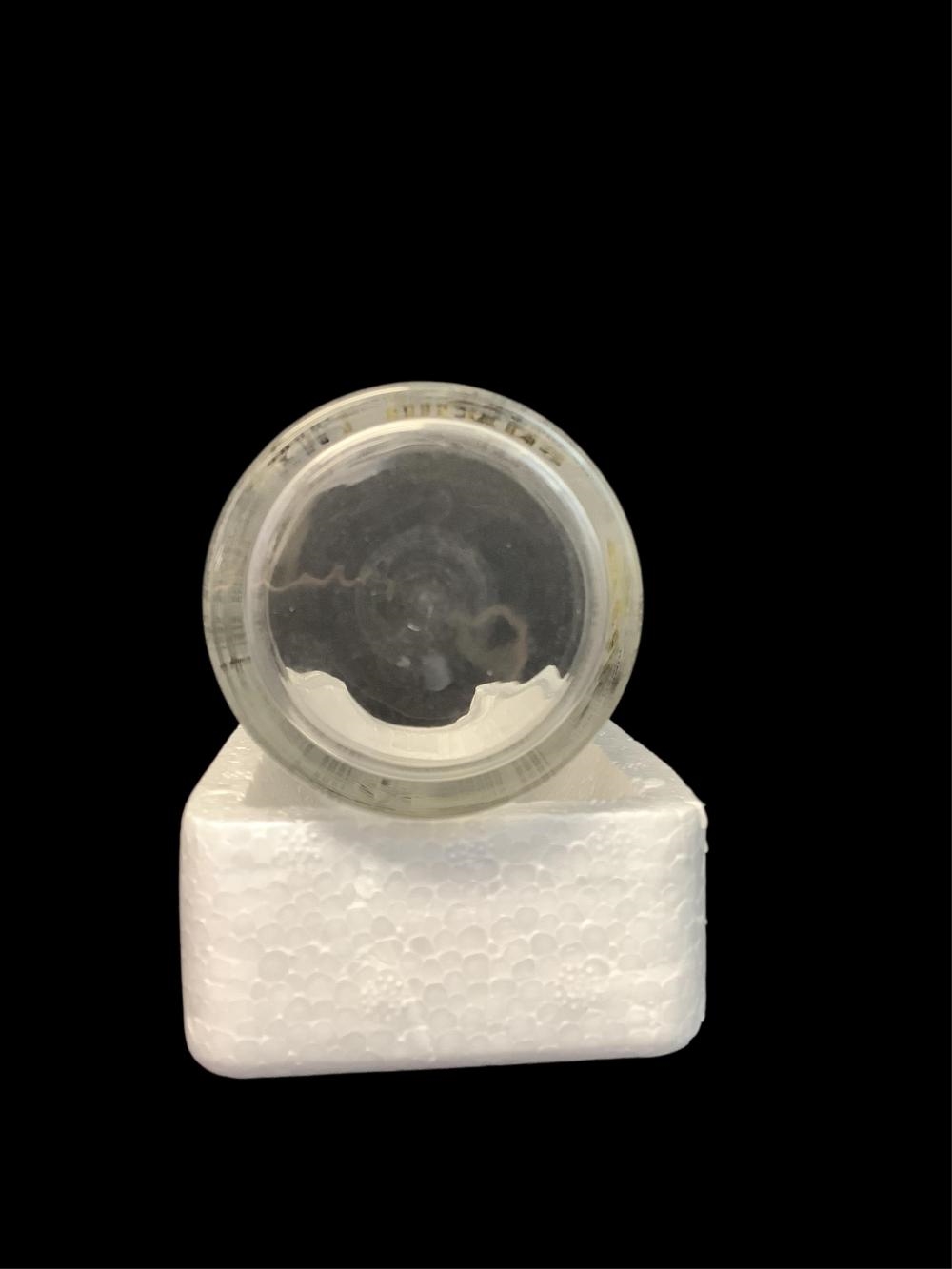 Derby | 1960 Kentucky Derby Glass (1960) | MutualArt