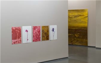 Deniz Aktaş: The possibility of a full stop becoming a comma - .artSümer