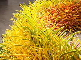 Bean Finneran: Curves, Cones, and Rings - Boise Art Museum