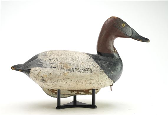 Canvasback by William Heverin