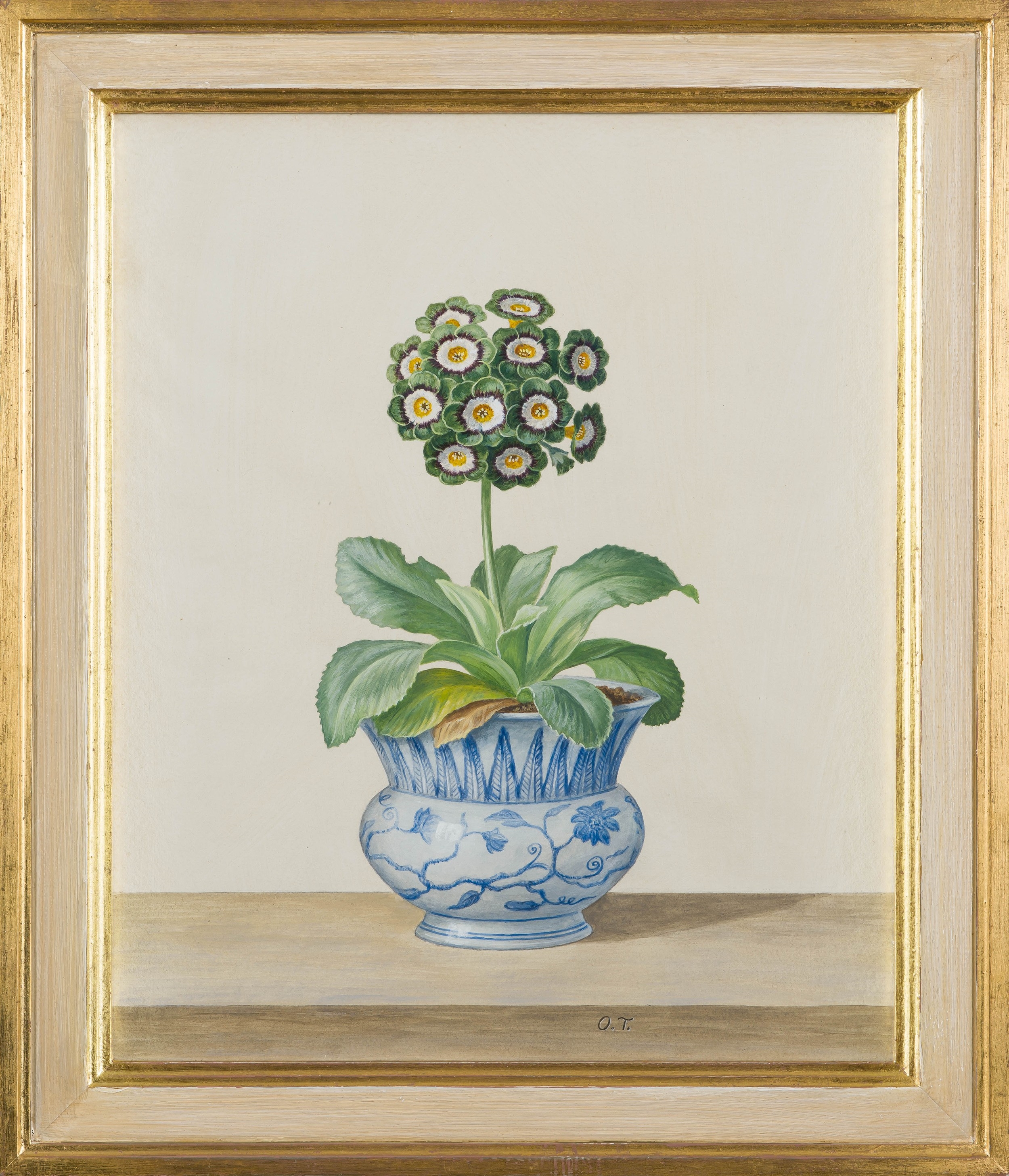 Artwork by Owen Turville, Owen Turville (*** 1947-***) STUDY OF A GREEN AURICULA IN A BLUE AND WHITE CHINESE POT, Made of watercolour on paper