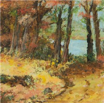 WOODLAND WALK, CASTLEWARD, COUNTY DOWN - Sylvia Newell