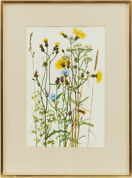 Sommarblommor - Carin Ax